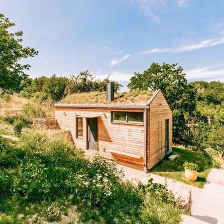 Tinyhouse Minimalus Panorama Schlafloft Im Gruenen Villa Dessighofen Exterior photo